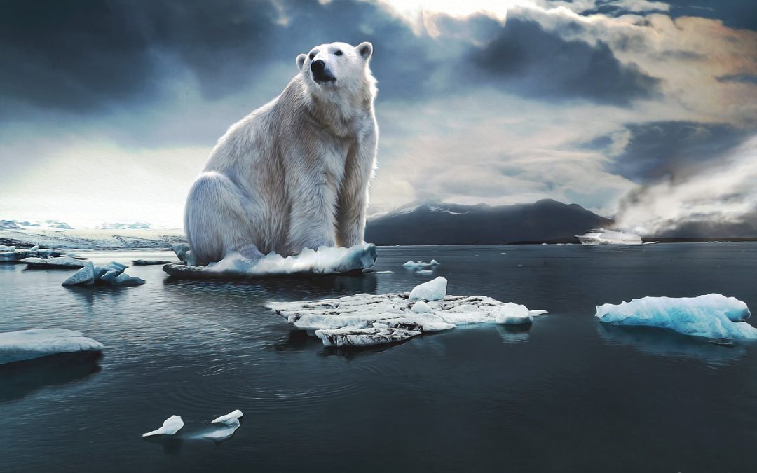 Verbraucher entlasten, Energiearmut verhindern – CO2-Steuer und EEG-Umlage schnellst-möglich abschaffen