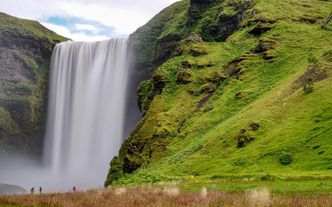 Remigrationsprogramm für ausgewanderte deutsche Fachkräfte nach japanischem Vorbildstatt kulturfremder Massenzuwanderung